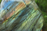 Polished Labradorite Standing Free Forms x 3 From Tulear, Madagascar - Toprock Gemstones and Minerals 