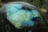 Polished Labradorite Standing Free Forms x 3 From Tulear, Madagascar - Toprock Gemstones and Minerals 