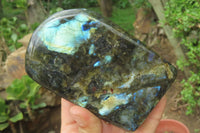 Polished Labradorite Standing Free Forms x 3 From Tulear, Madagascar - Toprock Gemstones and Minerals 