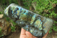 Polished Labradorite Standing Free Forms x 3 From Tulear, Madagascar - Toprock Gemstones and Minerals 
