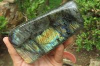 Polished Labradorite Standing Free Forms x 3 From Tulear, Madagascar - Toprock Gemstones and Minerals 