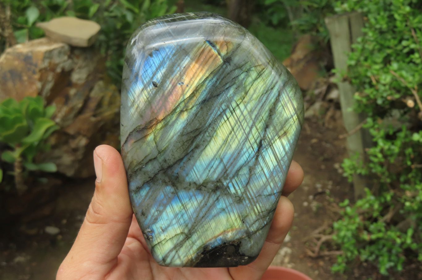 Polished Labradorite Standing Free Forms x 3 From Tulear, Madagascar - Toprock Gemstones and Minerals 