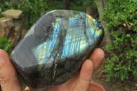 Polished Labradorite Standing Free Forms x 3 From Tulear, Madagascar - Toprock Gemstones and Minerals 