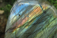 Polished Labradorite Standing Free Forms x 3 From Tulear, Madagascar - Toprock Gemstones and Minerals 