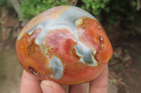 Polished On One Side Polychrome Jasper x 6 From Mahajanga, Madagascar - Toprock Gemstones and Minerals 
