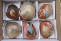 Polished On One Side Polychrome Jasper x 6 From Mahajanga, Madagascar - Toprock Gemstones and Minerals 