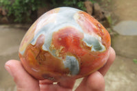 Polished On One Side Polychrome Jasper x 6 From Mahajanga, Madagascar - Toprock Gemstones and Minerals 