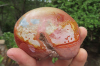 Polished On One Side Polychrome Jasper x 6 From Mahajanga, Madagascar - Toprock Gemstones and Minerals 