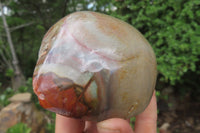 Polished On One Side Polychrome Jasper x 6 From Mahajanga, Madagascar - Toprock Gemstones and Minerals 