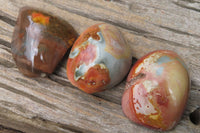 Polished On One Side Polychrome Jasper x 6 From Mahajanga, Madagascar - Toprock Gemstones and Minerals 