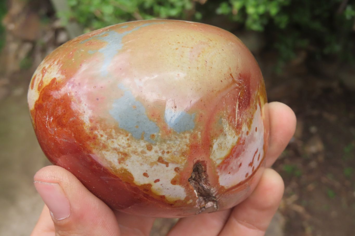 Polished On One Side Polychrome Jasper x 6 From Mahajanga, Madagascar - Toprock Gemstones and Minerals 