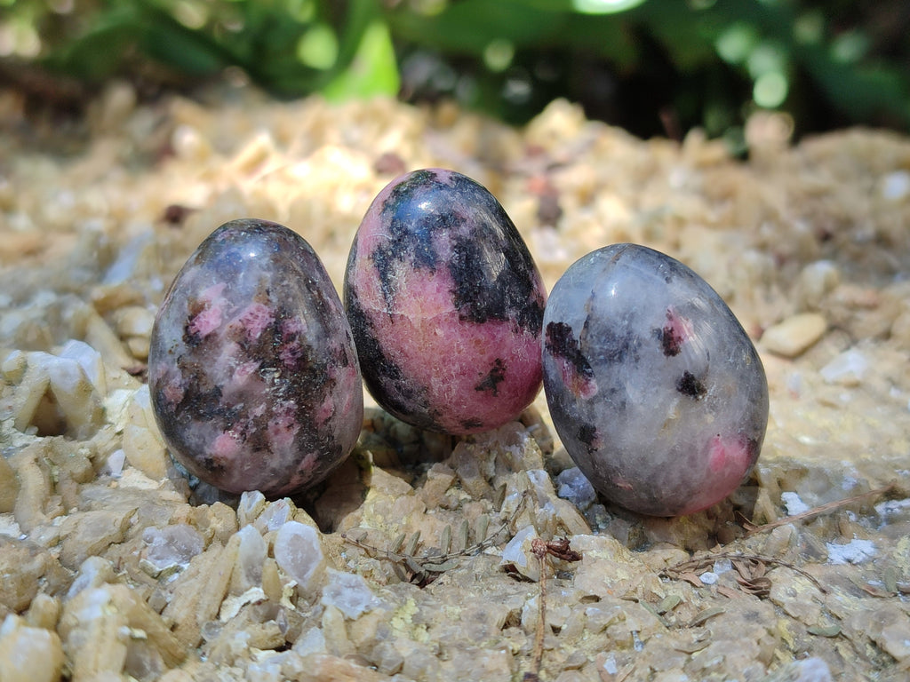 Polished Rhodonite Eggs x 35 From Ambindavato, Madagascar - Toprock Gemstones and Minerals 