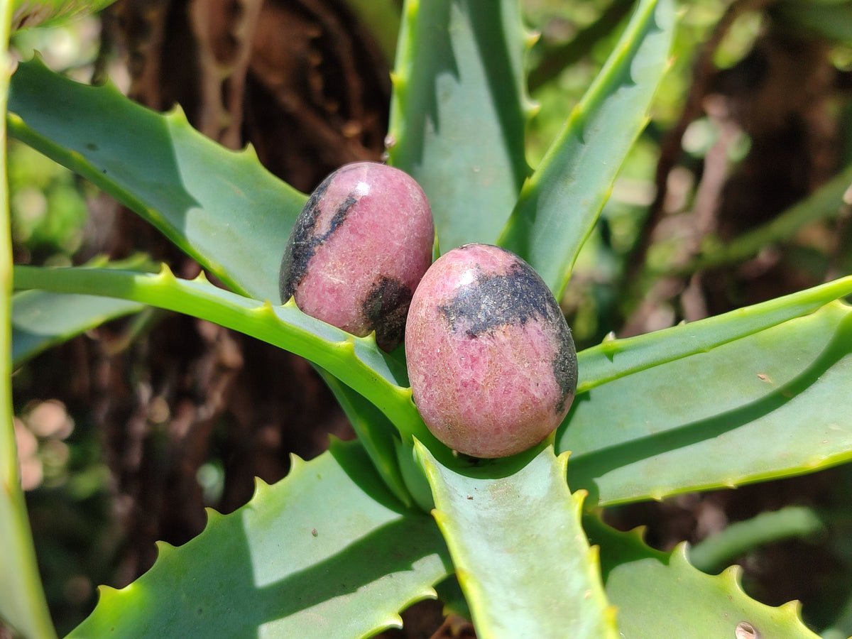 Polished Rhodonite Eggs x 35 From Ambindavato, Madagascar - Toprock Gemstones and Minerals 