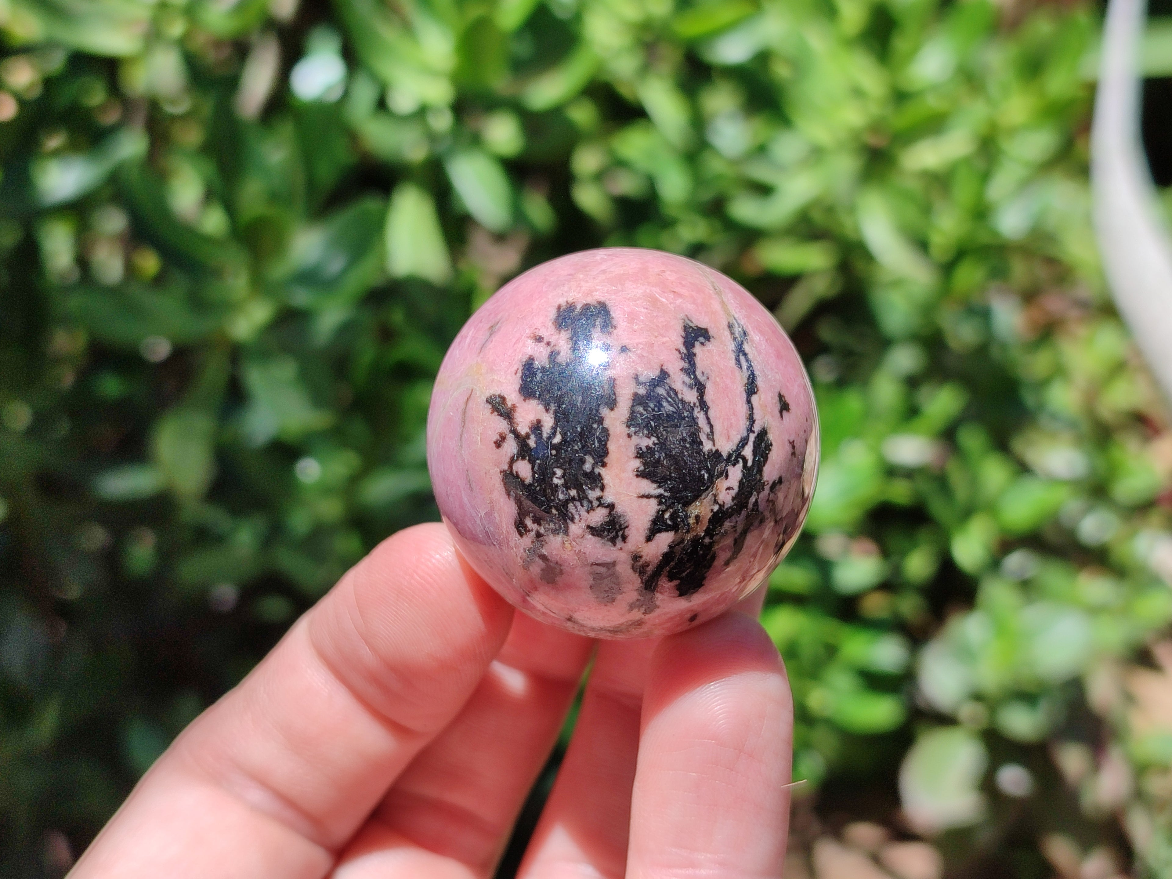 Polished Rhodonite Sphere-Balls - Sold Per Item - From Madagascar - Toprock Gemstones and Minerals 
