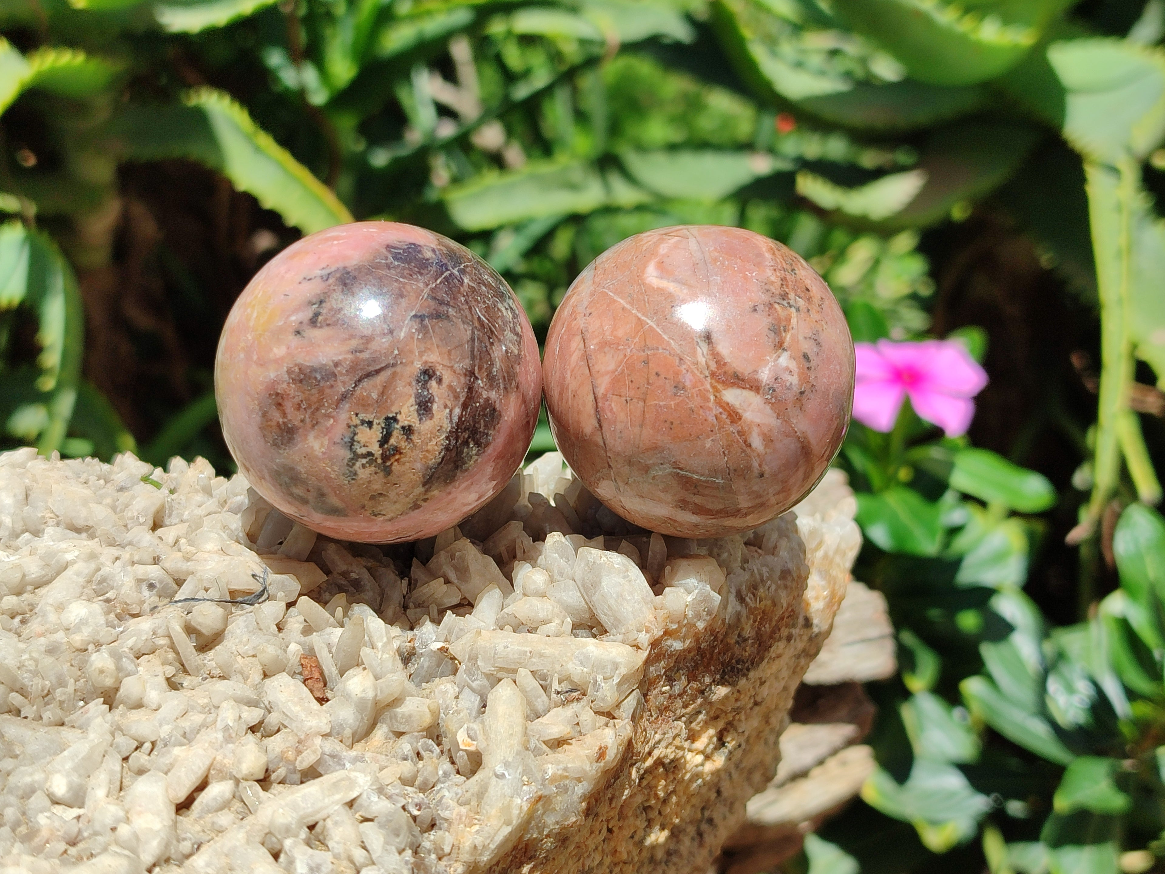 Polished Rhodonite Sphere-Balls - Sold Per Item - From Madagascar - Toprock Gemstones and Minerals 