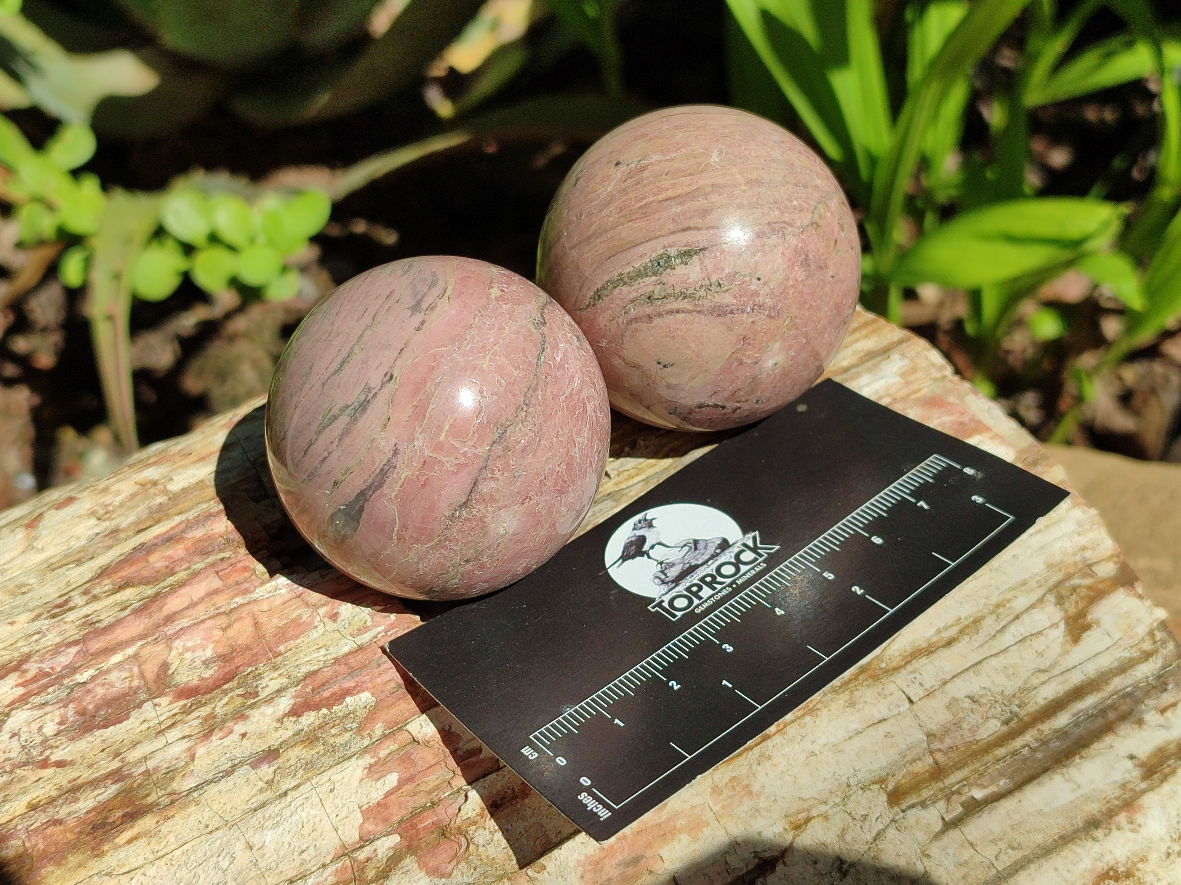 Polished Rhodonite Sphere-Balls - Sold Per Item - From Madagascar - Toprock Gemstones and Minerals 