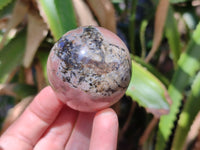 Polished Rhodonite Sphere-Balls - Sold Per Item - From Madagascar