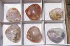 Polished Flower Agate Gemstone Hearts x 6 From Madagascar - Toprock Gemstones and Minerals 