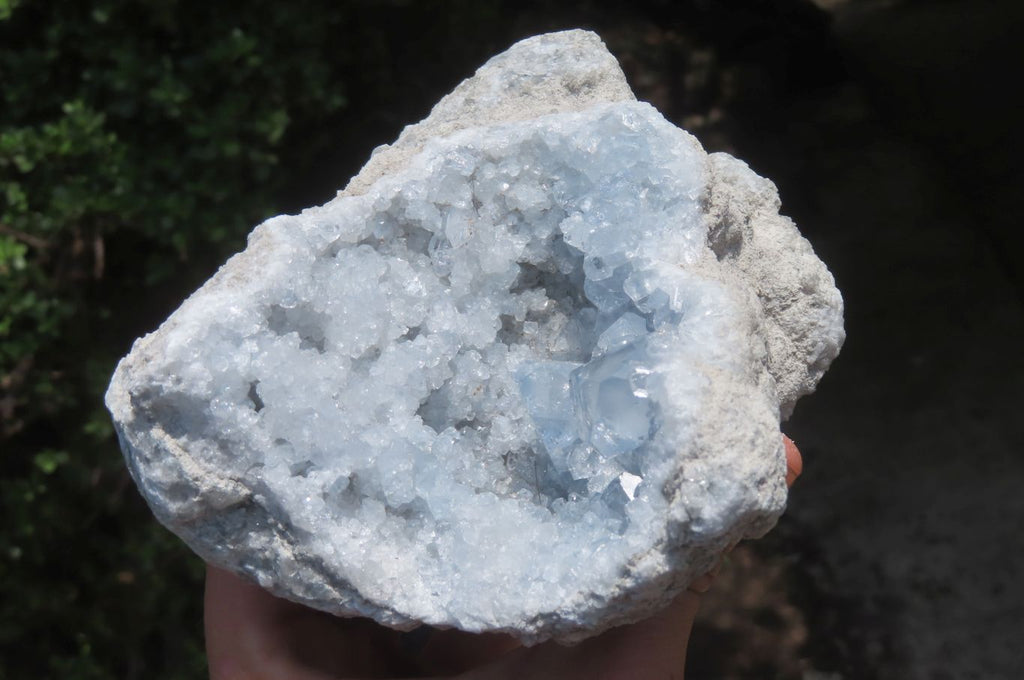 Natural Celestite Geode Specimens x 2 From Sakoany, Madagascar - Toprock Gemstones and Minerals 