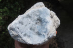 Natural Celestite Geode Specimens x 2 From Sakoany, Madagascar - Toprock Gemstones and Minerals 
