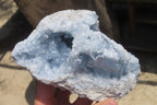 Natural Celestite Geode Specimens x 2 From Sakoany, Madagascar - Toprock Gemstones and Minerals 