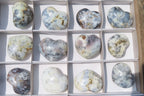 Polished Dendritic Opal Gemstone Hearts x 12 From Moralambo, Madagascar - Toprock Gemstones and Minerals 