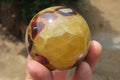 Polished Septerye Spheres x 6 From Mahajanga, Madagascar - Toprock Gemstones and Minerals 