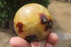 Polished Septerye Spheres x 6 From Mahajanga, Madagascar - Toprock Gemstones and Minerals 