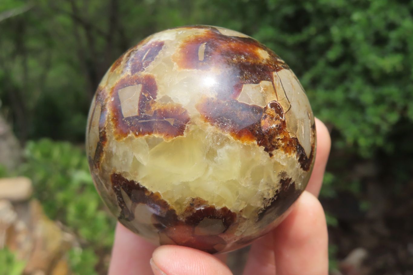 Polished Septerye Spheres x 6 From Mahajanga, Madagascar - Toprock Gemstones and Minerals 