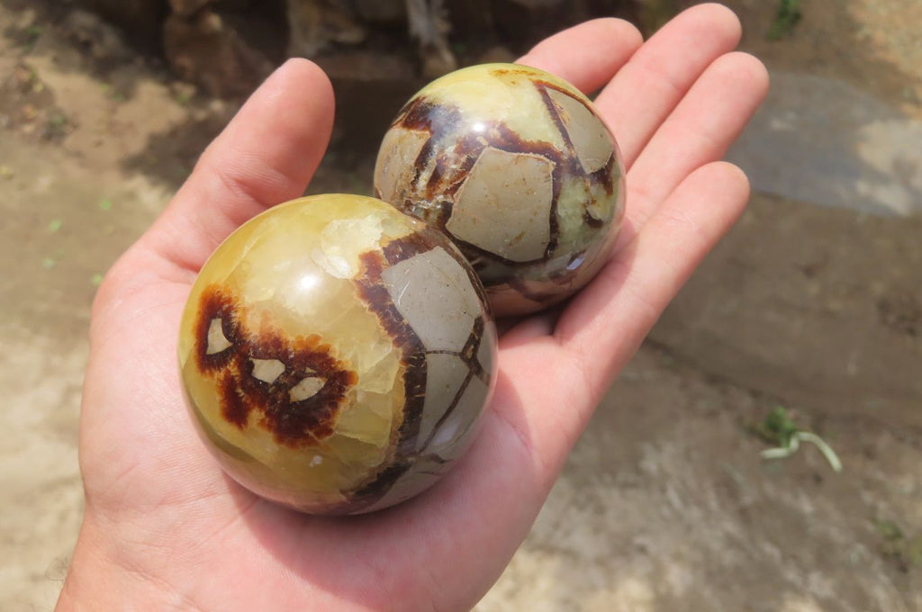 Polished Septerye Spheres x 6 From Mahajanga, Madagascar - Toprock Gemstones and Minerals 