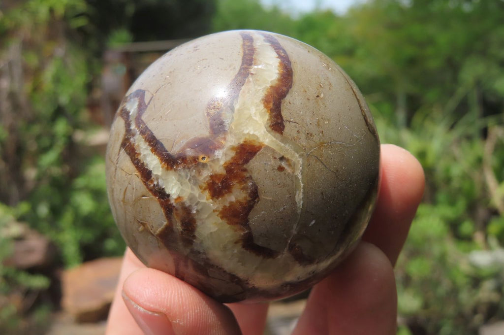 Polished Septerye Spheres x 6 From Mahajanga, Madagascar - Toprock Gemstones and Minerals 