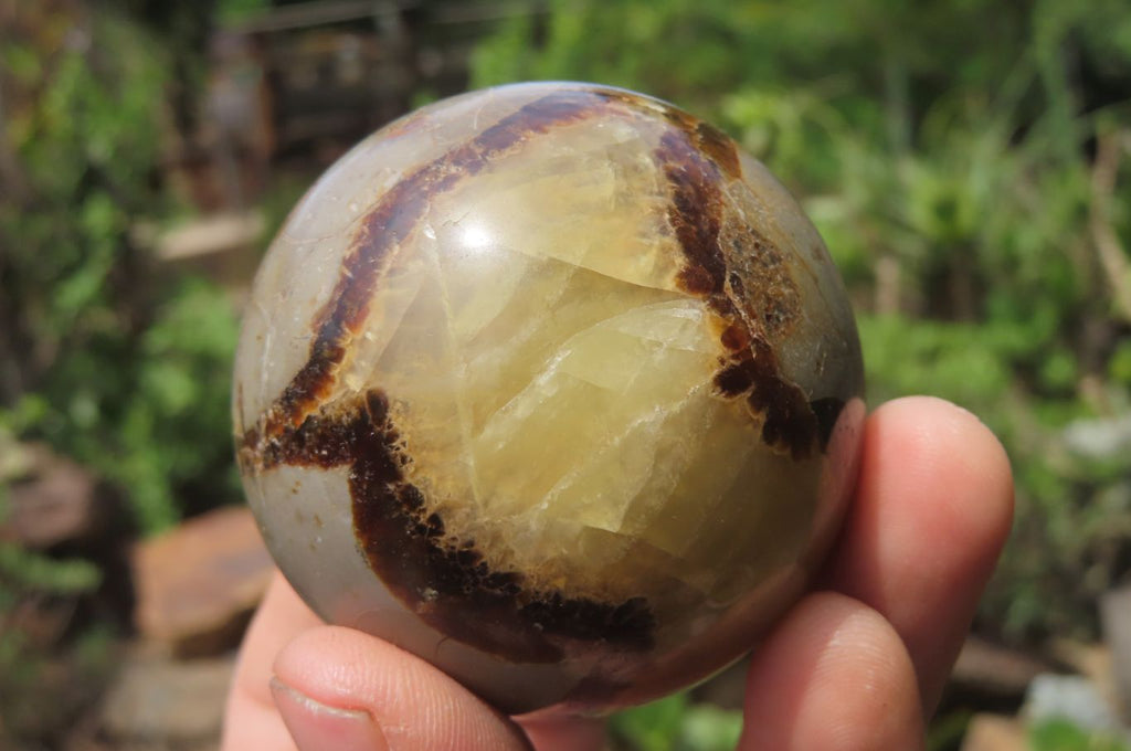 Polished Septerye Spheres x 6 From Mahajanga, Madagascar - Toprock Gemstones and Minerals 