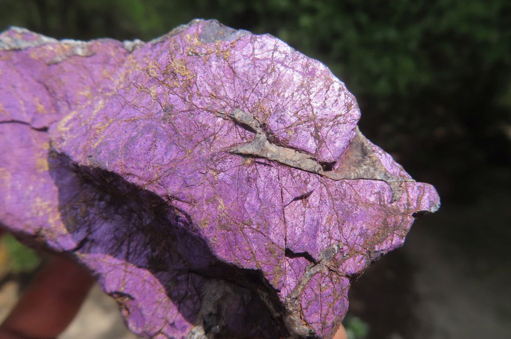 Natural Metallic Purpurite Cobbed Specimens x 6 From Erongo, Namibia - Toprock Gemstones and Minerals 