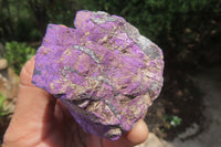 Natural Metallic Purpurite Cobbed Specimens x 6 From Erongo, Namibia - Toprock Gemstones and Minerals 