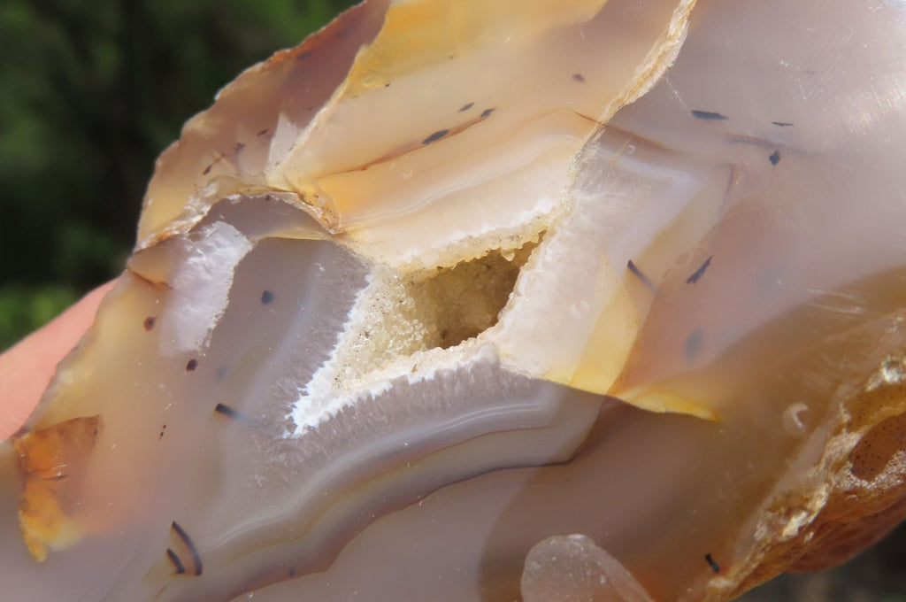 Polished On One Side River Agate x 8 From Limpopo River, South Africa - Toprock Gemstones and Minerals 