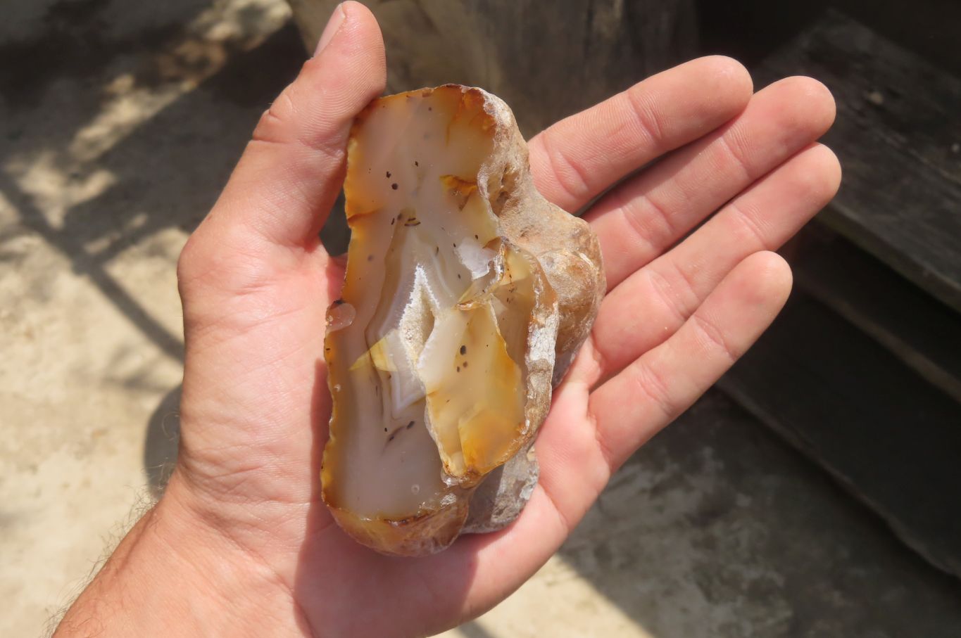 Polished On One Side River Agate x 8 From Limpopo River, South Africa - Toprock Gemstones and Minerals 