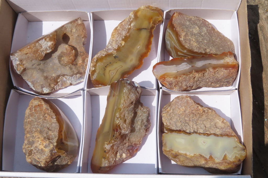 Polished On One Side River Agate x 8 From Limpopo River, South Africa - Toprock Gemstones and Minerals 