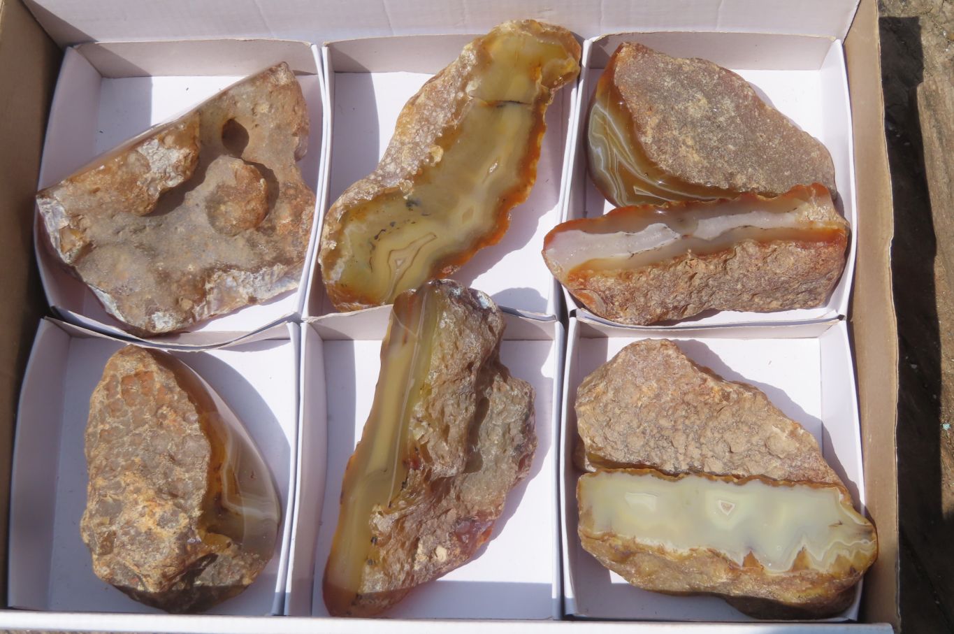 Polished On One Side River Agate x 8 From Limpopo River, South Africa - Toprock Gemstones and Minerals 