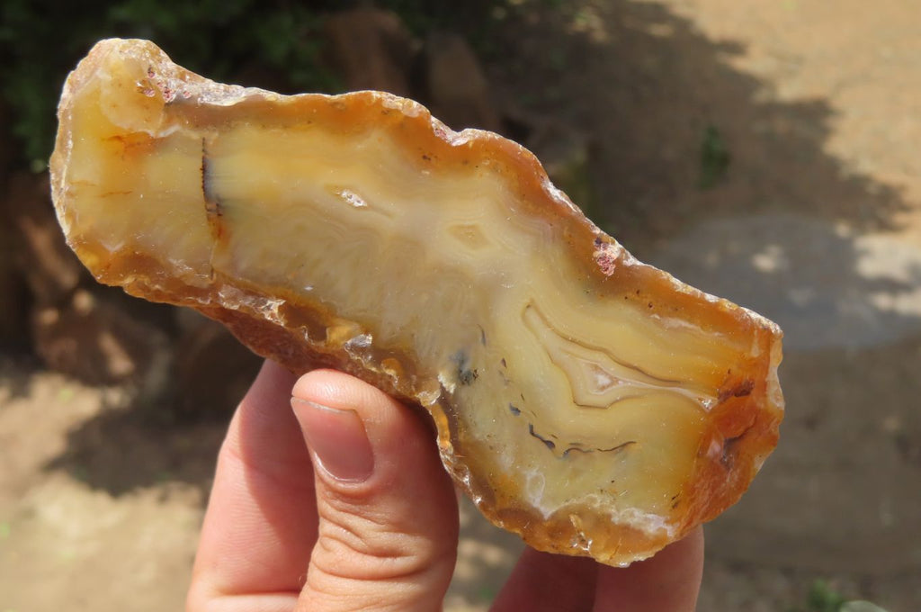Polished On One Side River Agate x 8 From Limpopo River, South Africa - Toprock Gemstones and Minerals 
