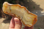 Polished On One Side River Agate x 8 From Limpopo River, South Africa - Toprock Gemstones and Minerals 