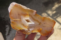 Polished On One Side River Agate x 8 From Limpopo River, South Africa - Toprock Gemstones and Minerals 