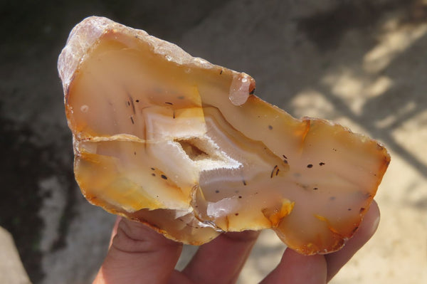 Polished On One Side River Agate x 8 From Limpopo River, South Africa