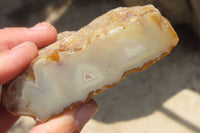 Polished On One Side River Agate x 8 From Limpopo River, South Africa - Toprock Gemstones and Minerals 