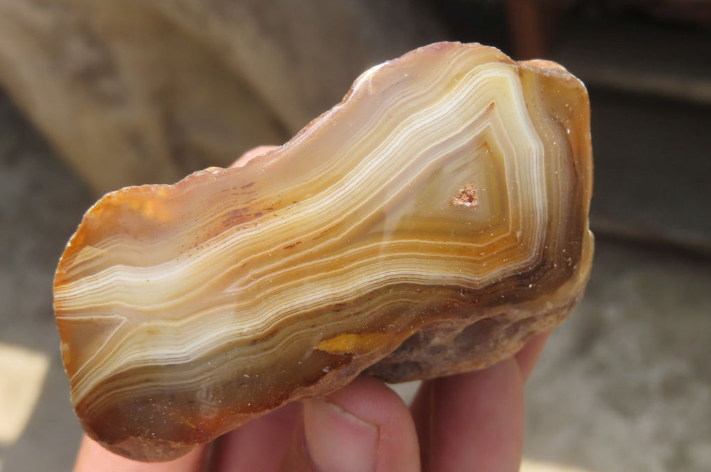 Polished On One Side River Agate x 8 From Limpopo River, South Africa - Toprock Gemstones and Minerals 