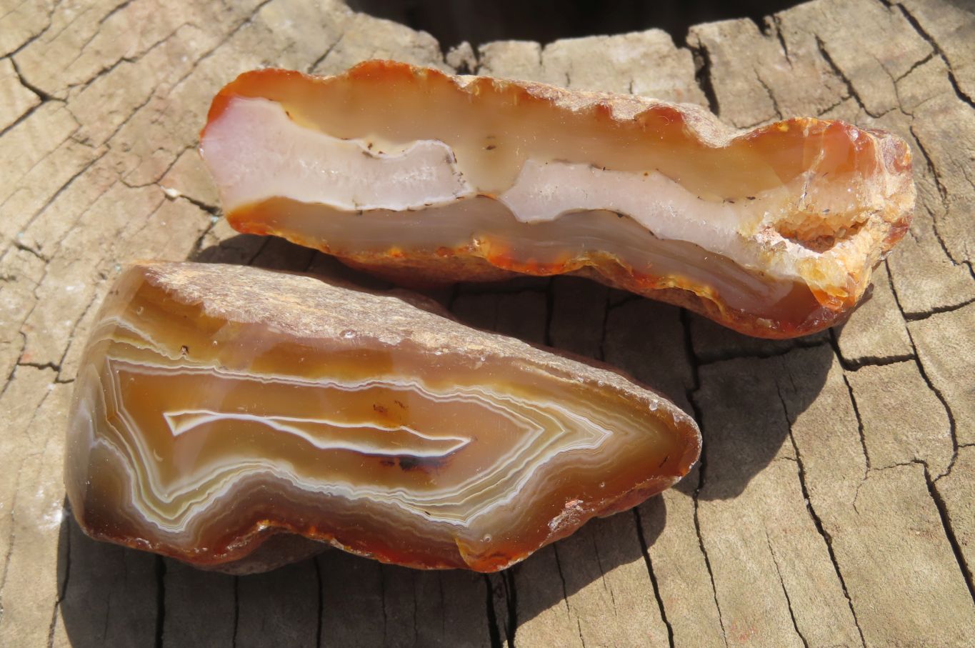 Polished On One Side River Agate x 8 From Limpopo River, South Africa - Toprock Gemstones and Minerals 