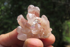 Natural Red Hematoid Quartz Crystal Specimens x 35 From Zimbabwe - Toprock Gemstones and Minerals 