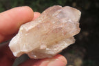 Natural Red Hematoid Quartz Crystal Specimens x 35 From Zimbabwe - Toprock Gemstones and Minerals 