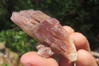 Natural Red Hematoid Quartz Crystal Specimens x 35 From Zimbabwe - Toprock Gemstones and Minerals 