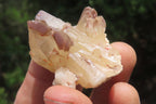 Natural Red Hematoid Quartz Crystal Specimens x 35 From Zimbabwe - Toprock Gemstones and Minerals 