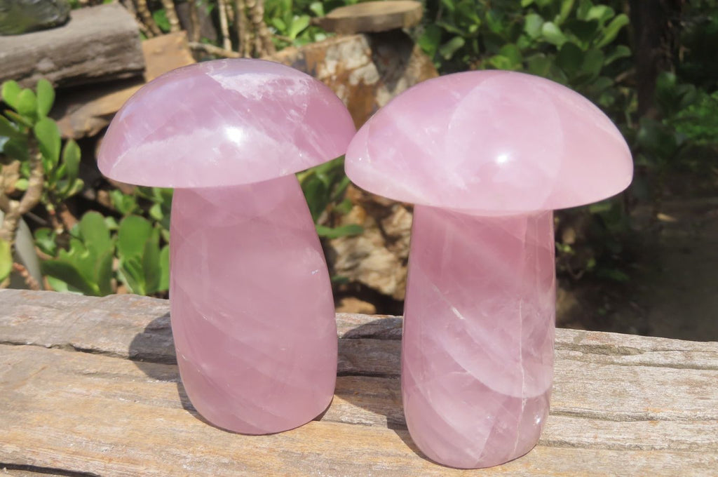Polished Rose Quartz Mushroom Carvings x 2 From Madagascar - Toprock Gemstones and Minerals 
